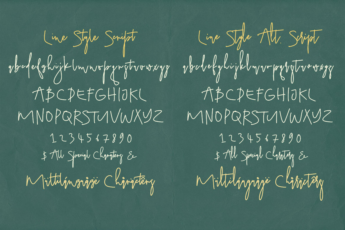 LineStyle Signature with Doodles, a Script Font by Deeezy (Photo 3 of 6)