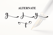 Signature | Script Font, a Handwritten Font by Scratchones (Thumbnail 8 of 9)