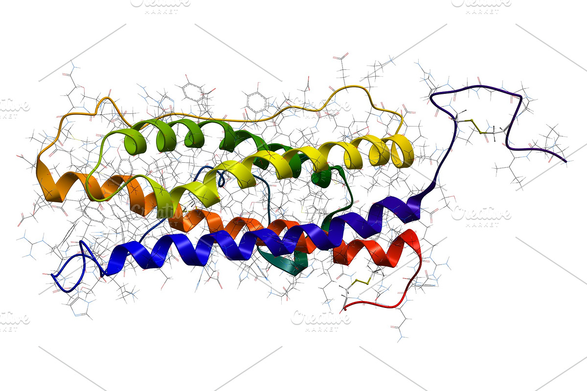 Prolactin hormone, a Healthcare Illustration by Leonid Andronov