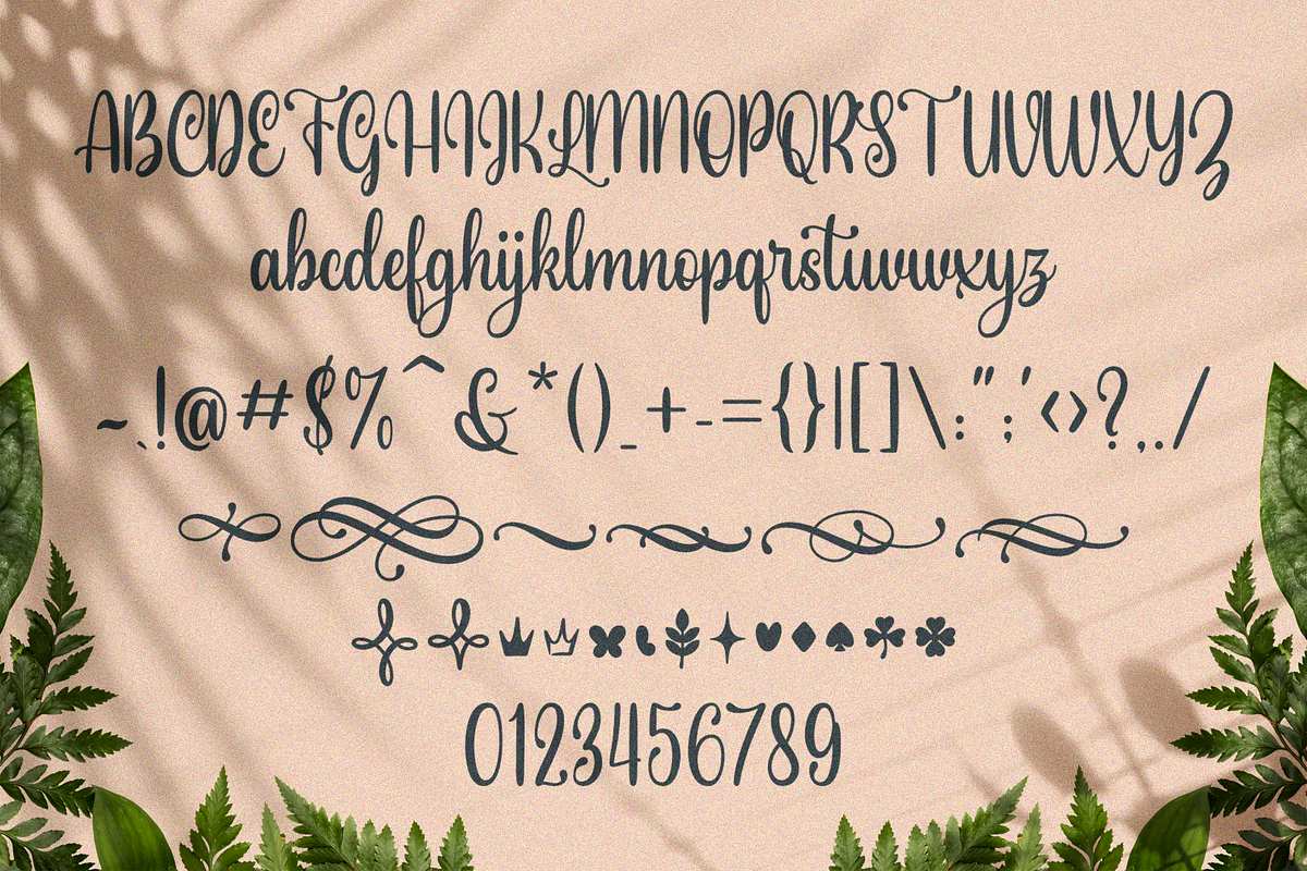 Bellefonte - Feminine Typeface, a Script Font by SusiType (Photo 8 of 9)