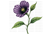 Deadly Nightshade Studies, a Decorative Illustration by Bloom Craft Creations (Thumbnail 7 of 12)