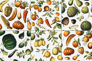 10 Retro Seamless Pattern Collection, a Pattern Graphic by Illusiongraphic (Thumbnail 2 of 7)