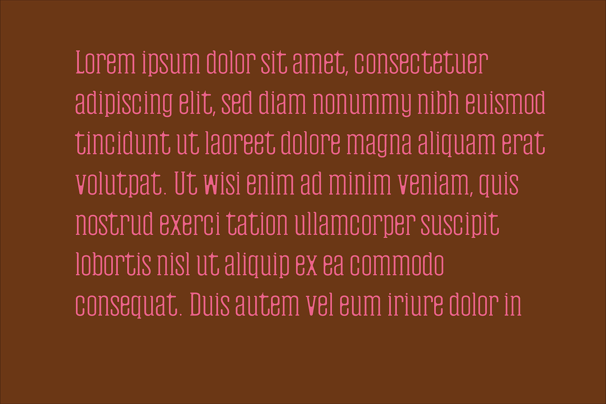 Hyman Rounded Serif Font Family, a Sans Serif Font by Design House (Photo 3 of 3)