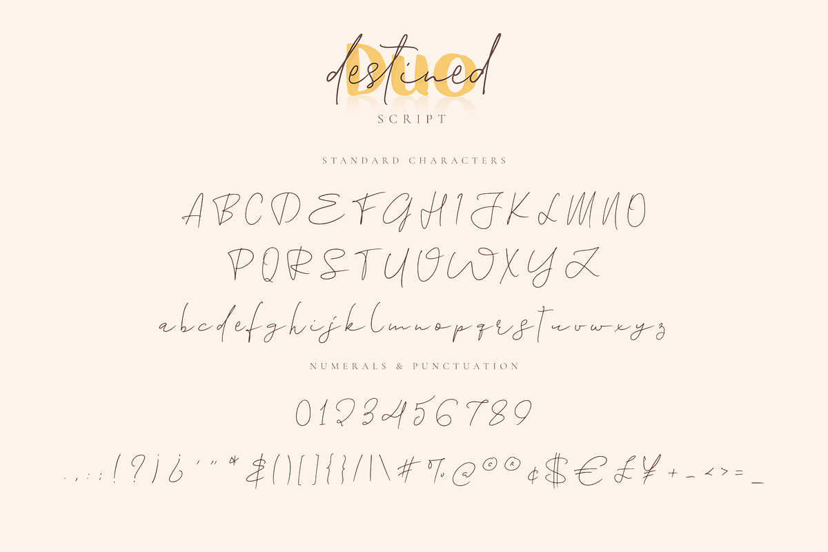 Destined Duo Brush Sans & Signature, a Script Font by Ayca Atalay (Photo 10 of 13)