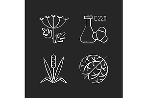 Allergens Chalk White Icons Set