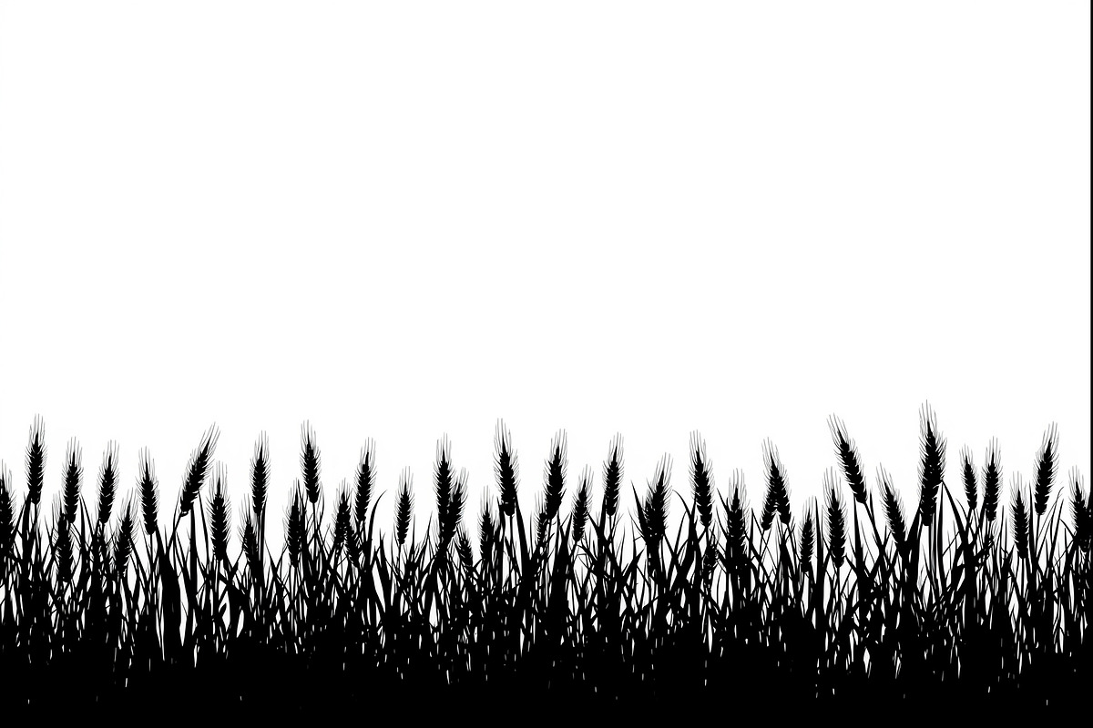 Wheat Field Border Bundle, an Illustration by Designs_River (Photo 7 of 9)