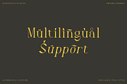 Arkalune - Serif Typeface Font, a Serif Font by Rishsketch (Thumbnail 9 of 15)
