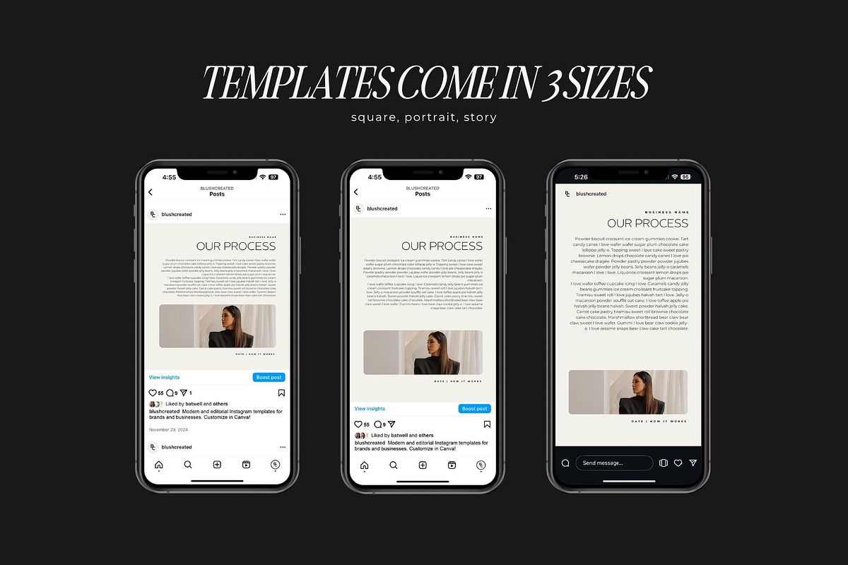 Canva Instagram Templates for Brands, a Social Media Template by Blush Created (Photo 5 of 20)