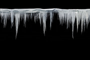 Icicles isolated from background, a Nature Photo by Countryside life (Thumbnail 7 of 22)