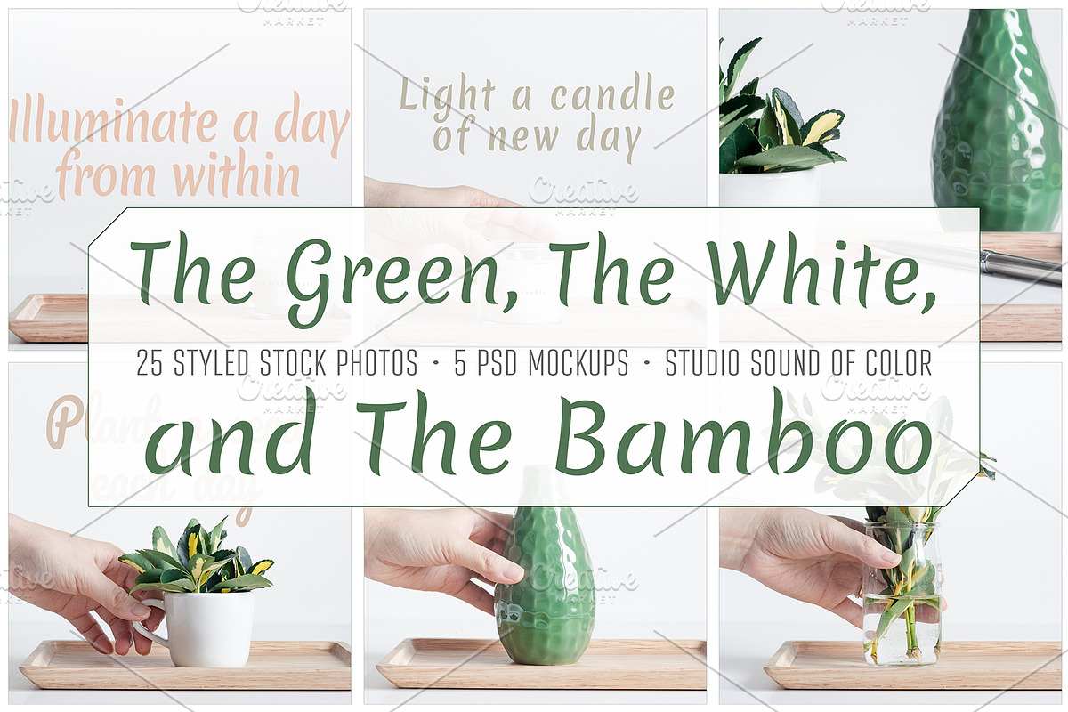 The Green, The White and The Bamboo, an Arts & Entertainment Photo by Sound of Color (Photo 3 of 10)