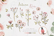 Autumn Rose Watercolor Set, a Decorative Illustration by Bibela (Thumbnail 5 of 11)