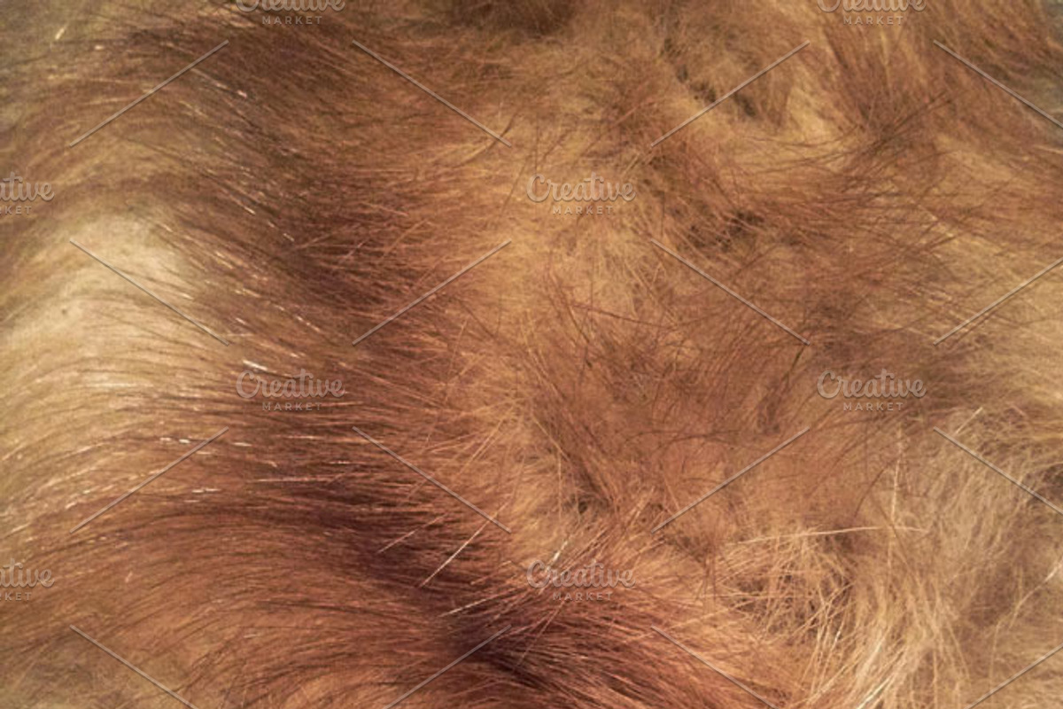 Fox Wood Textured Digital Patterns, a Texture Graphic by Blixa 6 Studios (Photo 4 of 5)