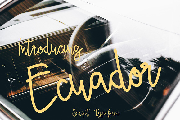 Ecuador (Bonus vector) preview 8