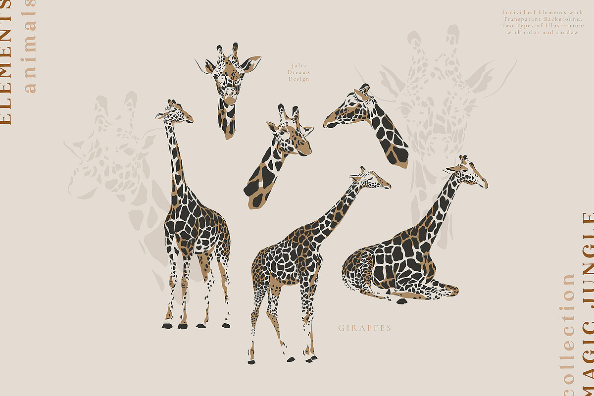 Magic Jungle Collection, an Animal Illustration by Julia Dreams (Photo 9 of 11)