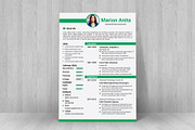 Professional Resume / CV Template, a Resume Template by designvillage (Thumbnail 8 of 11)