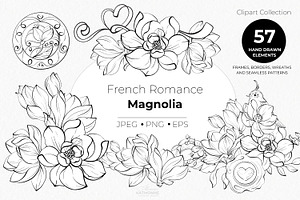 Magnolia Line Art Botanical Vector