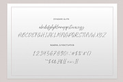 Beauty Hurst | Elegant Script font, a Script Font by dealitastudio (Thumbnail 11 of 12)