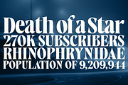 West West Condensed Serif, a Serif Font by Fenotype (Thumbnail 10 of 18)