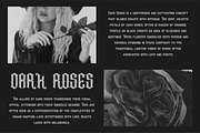 Astrellia - A Decorative Font, a Blackletter Font by Hanstype.com (Thumbnail 7 of 10)
