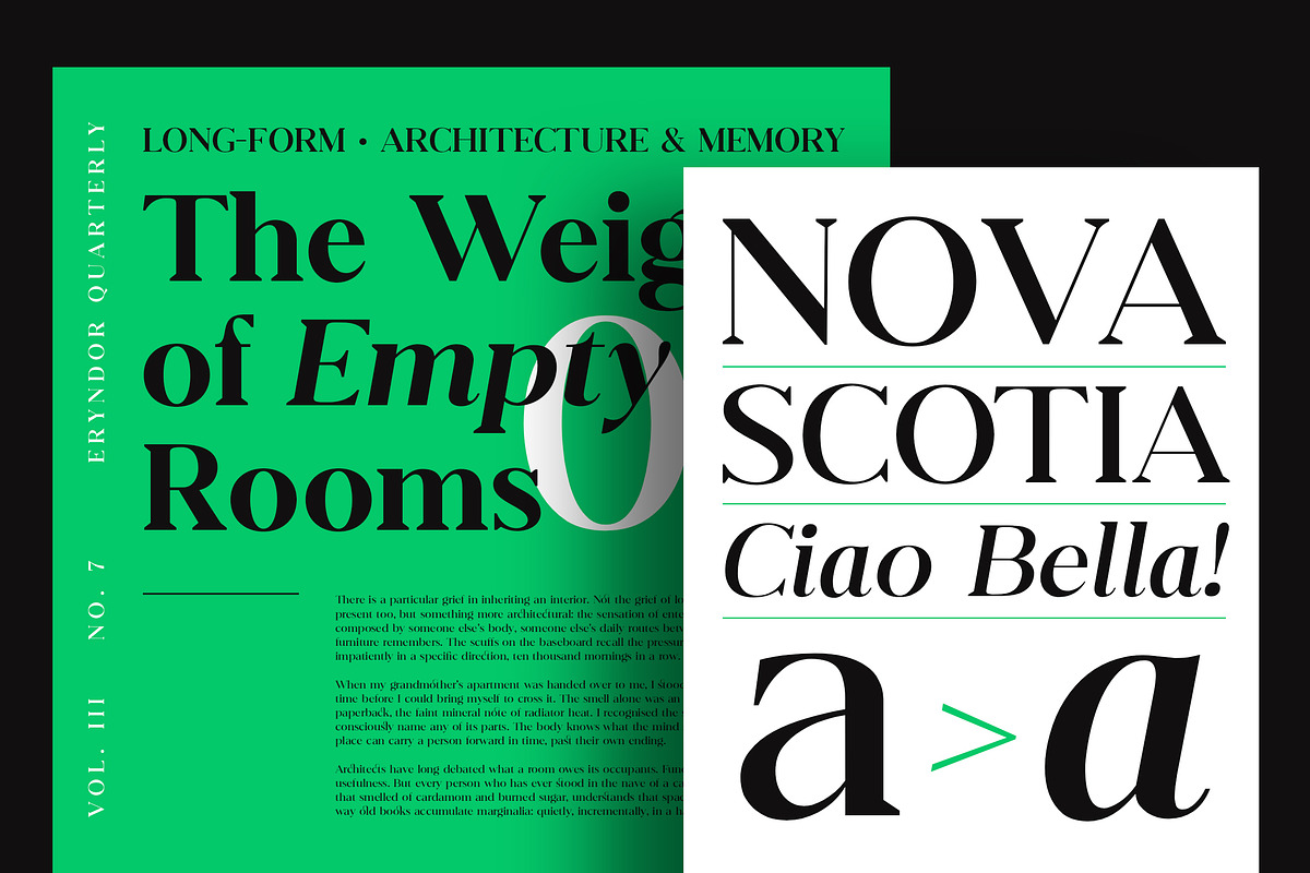 Eryndor, a Serif Font by Typehill (Photo 2 of 13)