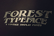 Forest - Display Font, a Font by JumboDesign (Thumbnail 6 of 6)