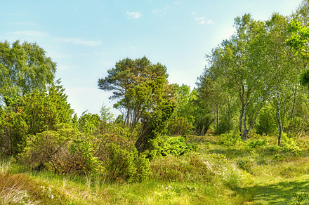 Images from the Kingdom of Denmark, a Photo by Peopleimages.com