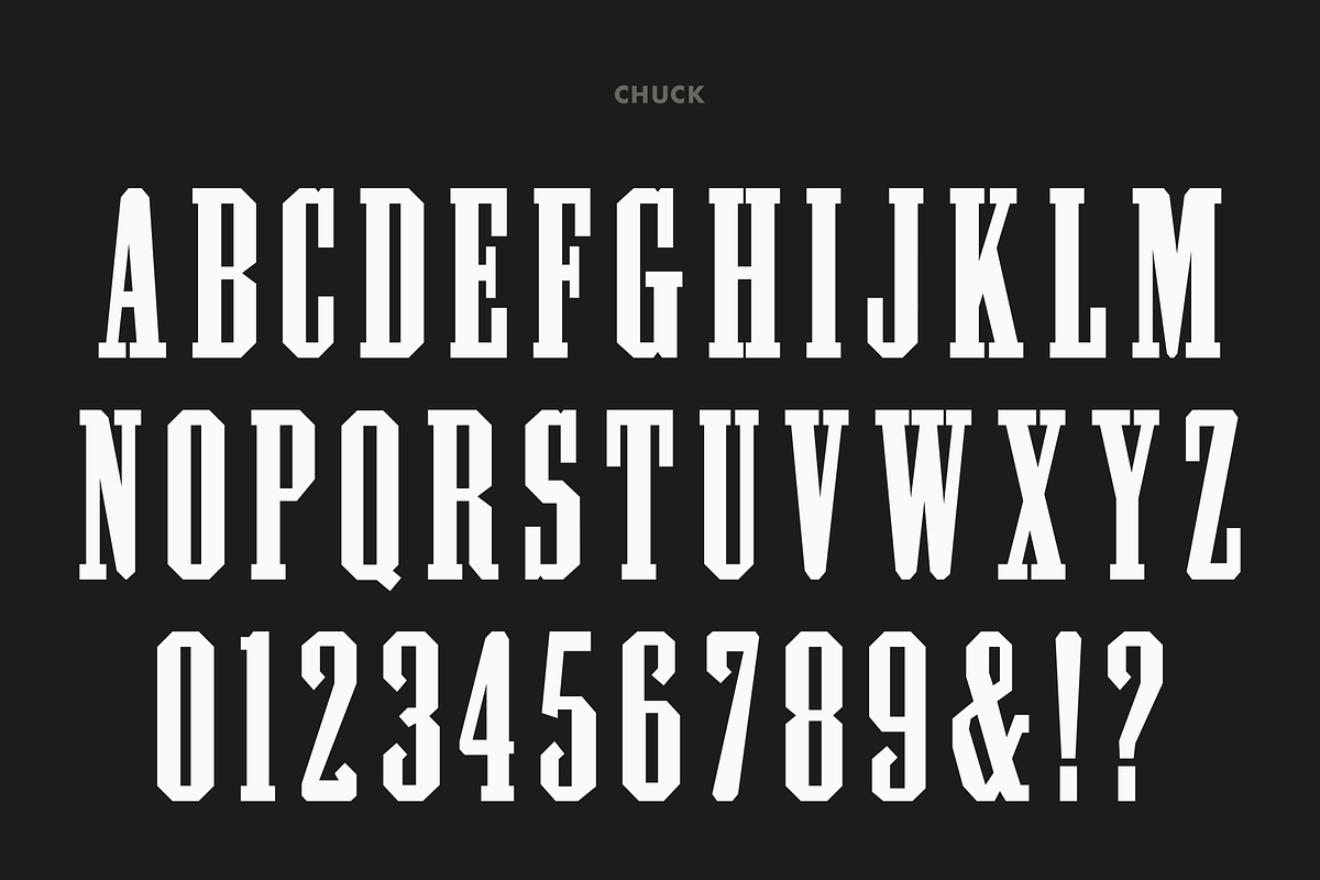 Pale Horse, a Slab Serif Font by Pale Horse (Photo 4 of 11)
