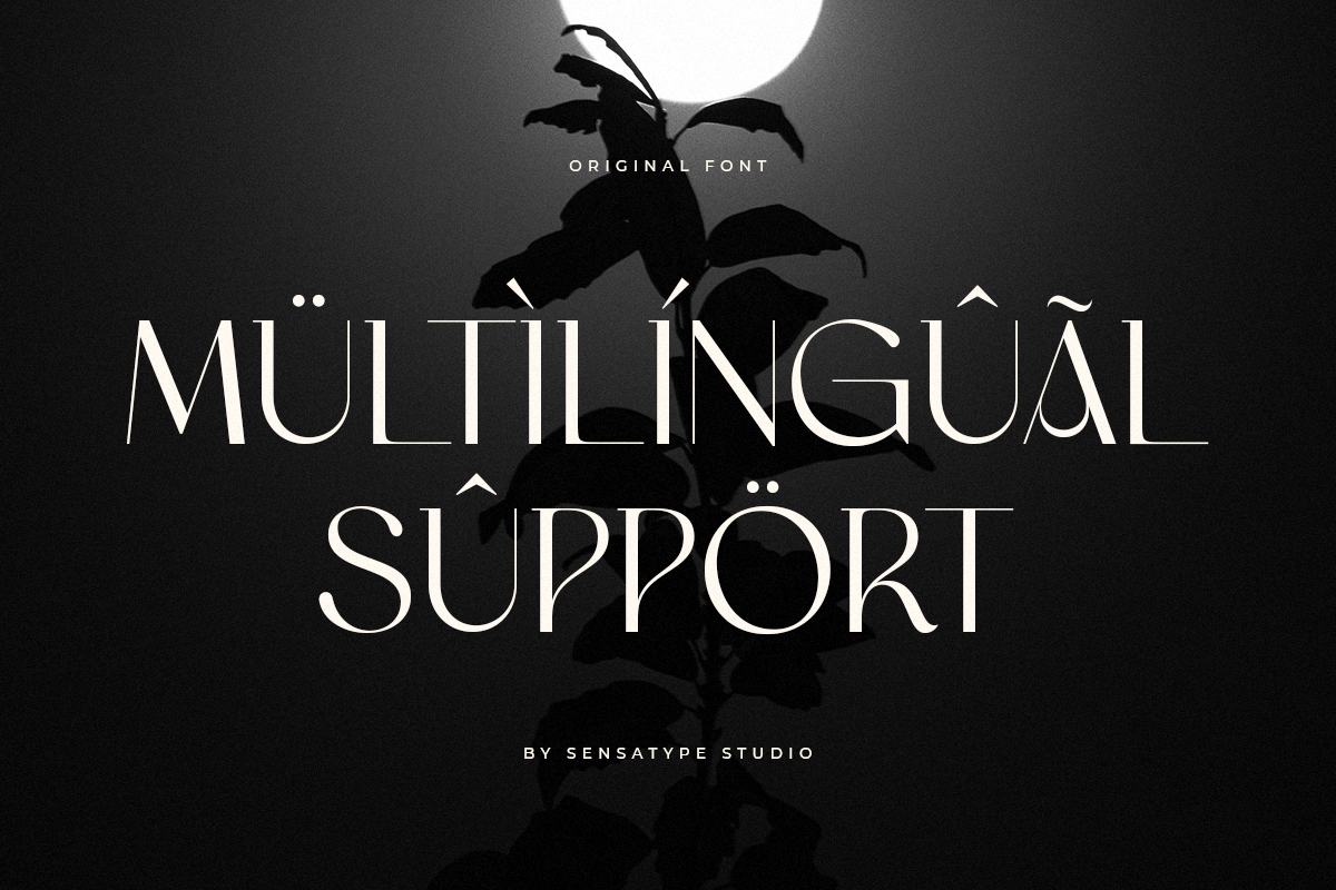 Original - Classy Branding Font, a Serif Font by Sensatype (Photo 19 of 19)