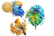 Tropical Jungle Birds Clipart Set, an Animal Illustration by The Dutch Lady Designs (Thumbnail 6 of 7)
