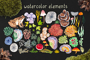 Colors of the forest, a Decorative Illustration by Kuzya's shop (Thumbnail 2 of 6)