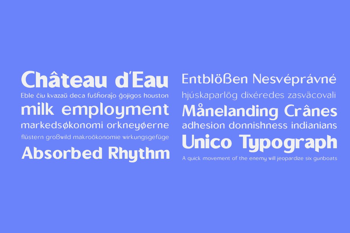 Sallona - Variable Sans Serif Font, a Sans Serif Font by MasaType (Photo 8 of 10)