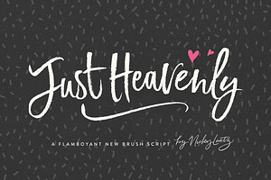 Just Heavenly Brush Font & Extras, a Script Font by Nicky Laatz