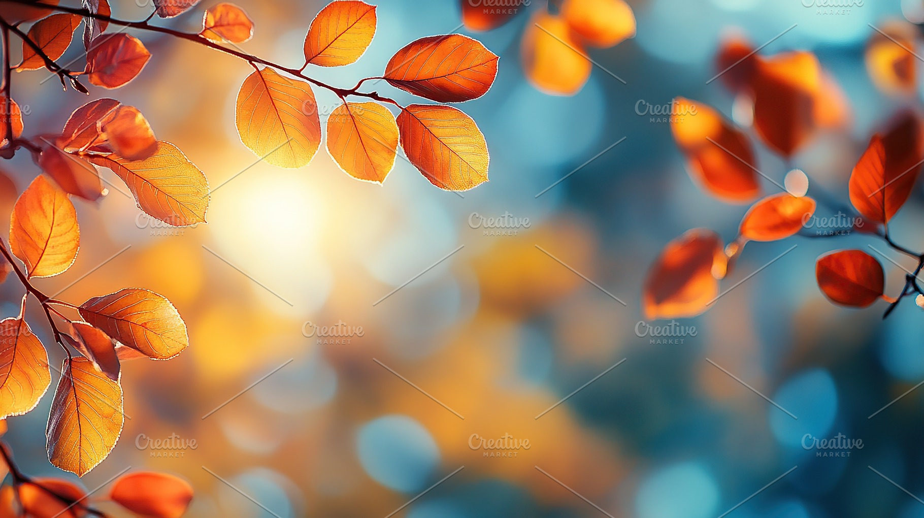 Orange leaves on tree branch in autumn city park with sunrays, a Nature Photo by AlyaAnd