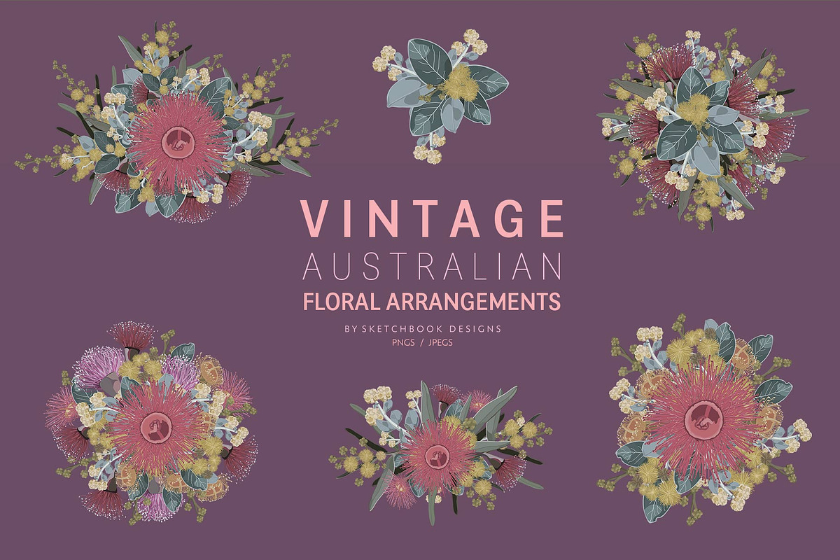 VINTAGE AUSTRALIAN WILDFLOWER SET, an Illustration by Sketchbook Designs (Photo 10 of 12)
