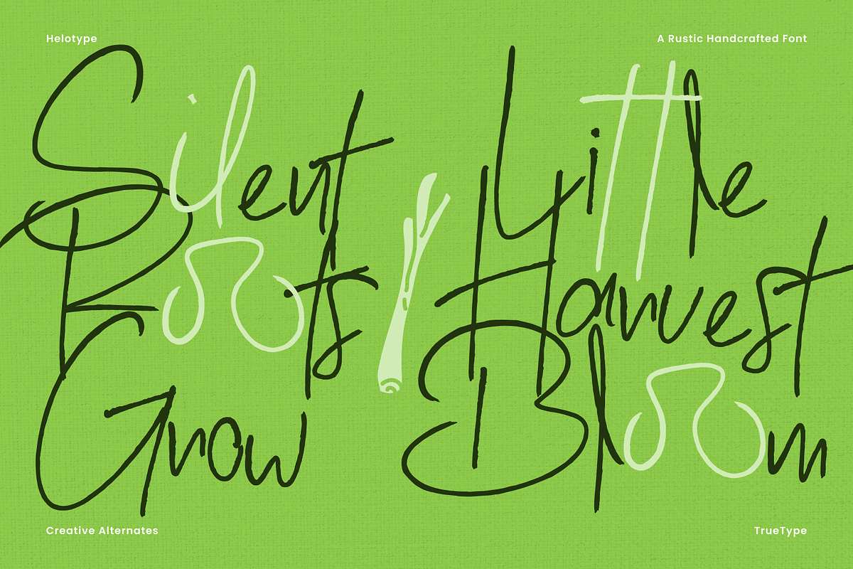 Rustic Harvest Bundle, a Handwritten Font by Helotype (Photo 5 of 7)