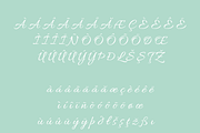 Glenor Script Font, a Script Font by Creative Foundry (Thumbnail 9 of 9)