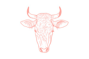 Vector Bovine Graphics