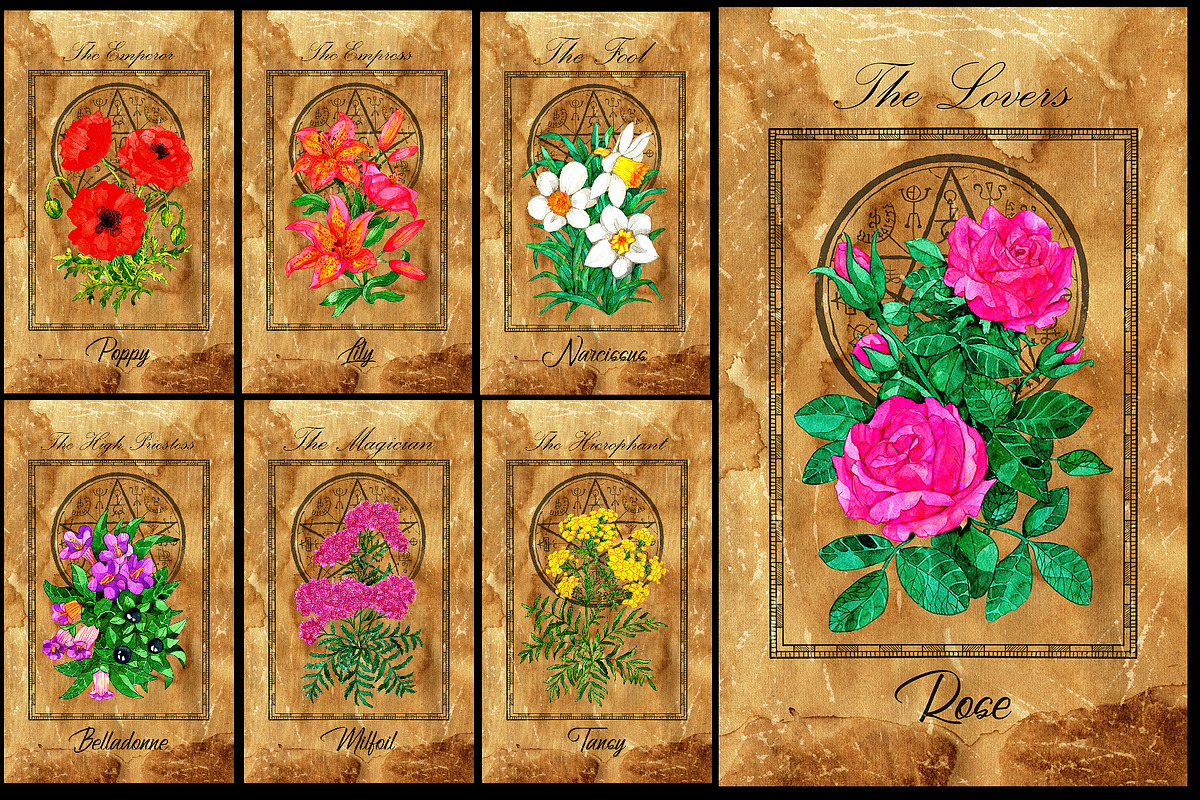 Enchanted flowers tarot deck, a Decorative Illustration by Samiramay (Photo 2 of 12)