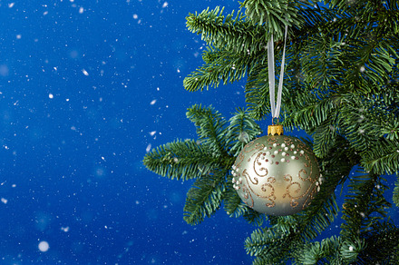 Christmas ball hanging, a Holiday Photo by Pandateam