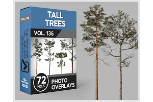 72 Tall Trees Photo Overlays, a Nature Photo by KenScape