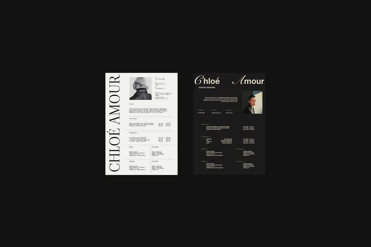 BLEU I Resume Kit, a Presentation Template by Studio Brand (Photo 6 of 10)