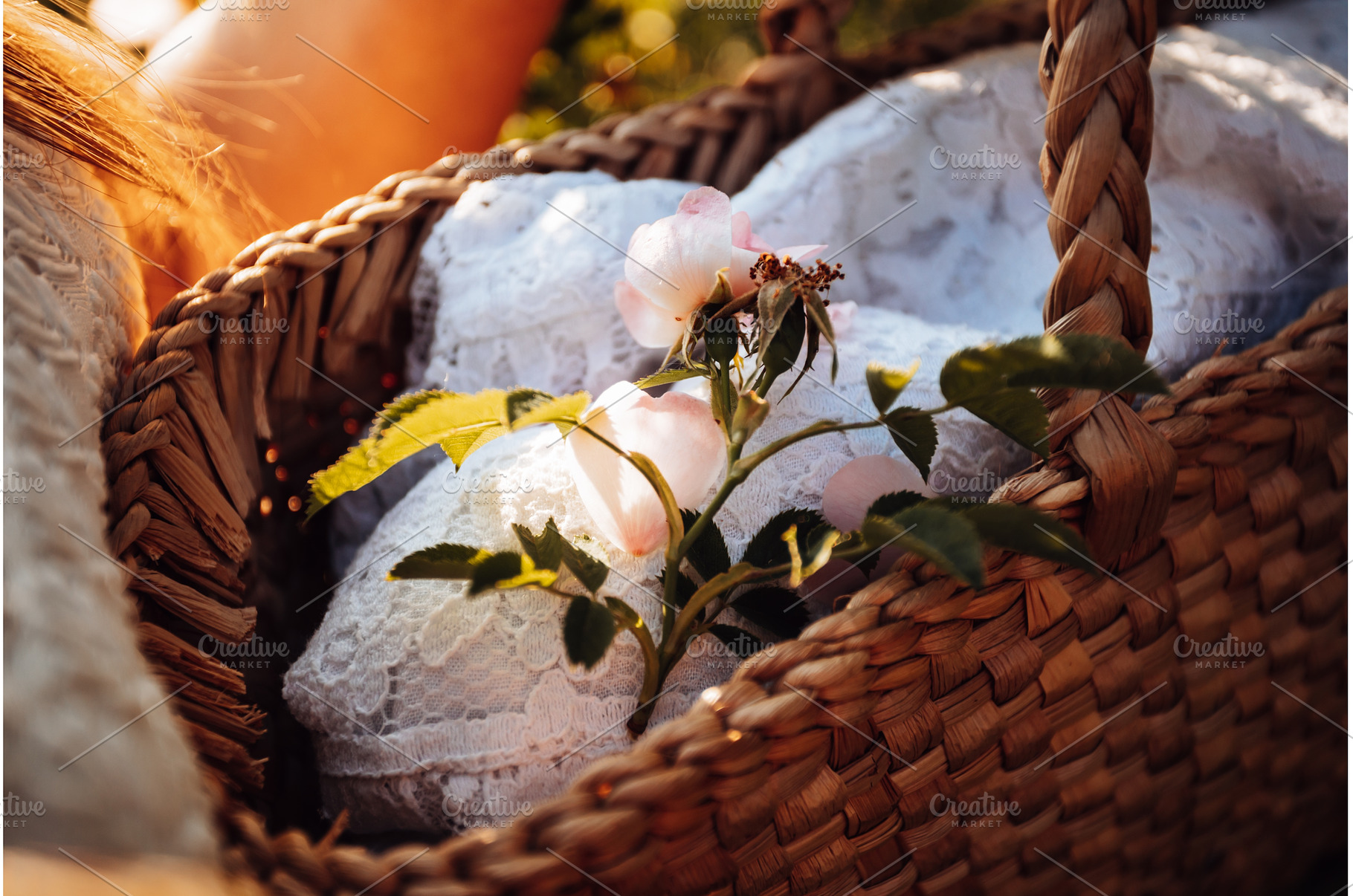 Wild rose flower on lace cloth in, a Food & Drink Photo by oksix