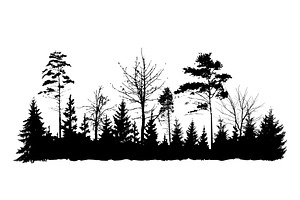 Forest silhouette. Minimalist pine, an Illustration by Nenahliadava Design