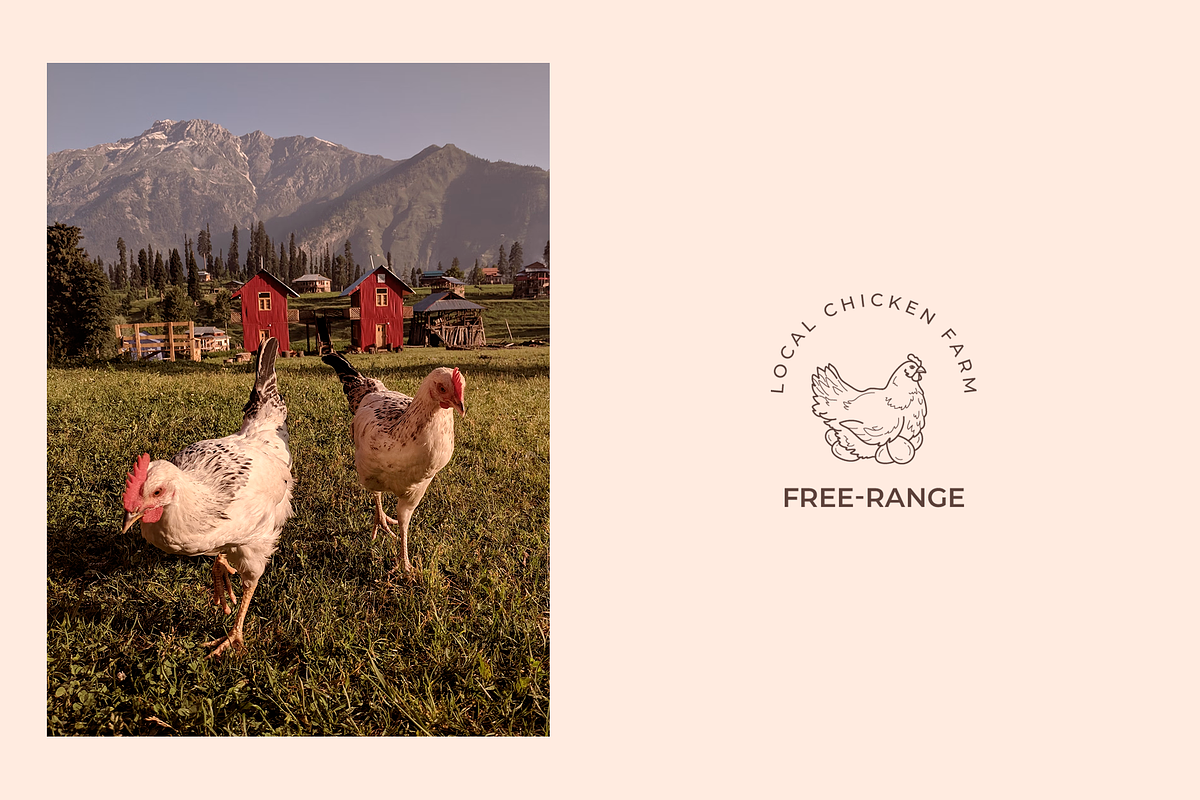 Farm animals logos and elements, a Graphic by Vasylyka (Photo 3 of 8)