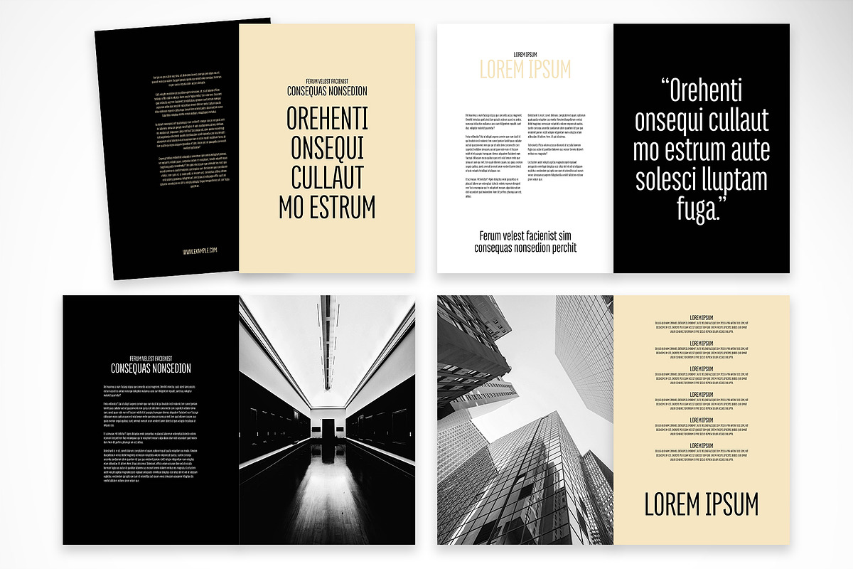 Sophisticated Portfolio Presentation, a Print Template by McLittle Stock (Photo 2 of 4)