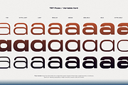 TRT Fluke Expanded Modern Sans Serif, a Sans Serif Font by truetype (Thumbnail 3 of 15)
