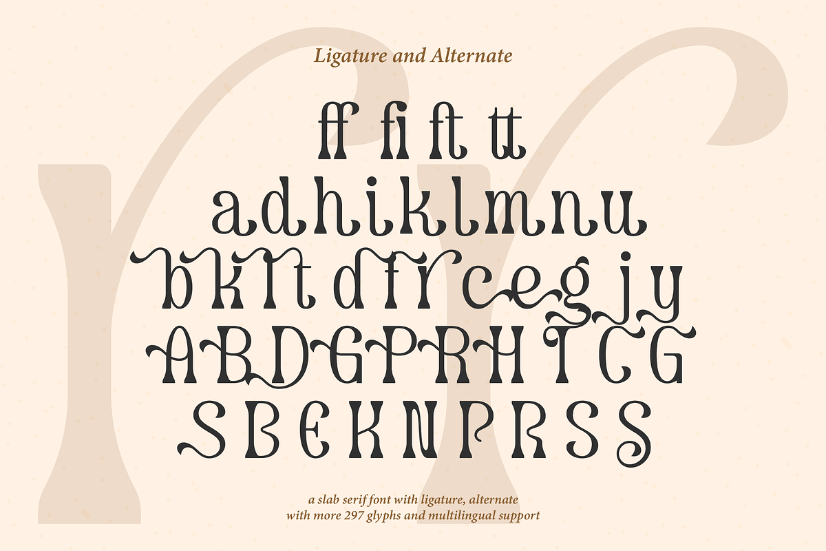 Dearshy Haislein | Slab Serif Font, a Slab Serif Font by Denustudios (Photo 15 of 15)