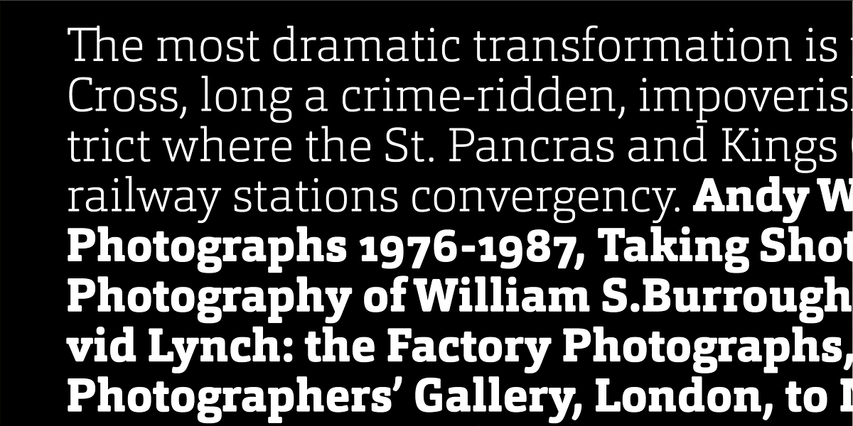 Orgon Slab, a Slab Serif Font by Hoftype (Photo 5 of 30)