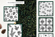 Pine forest line art collection, an Illustration by AfonshinaArt (Thumbnail 6 of 9)