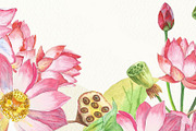 Lotus Flowers. Bouquets and Wreaths, a Decorative Illustration by Nataliapiache (Thumbnail 3 of 5)